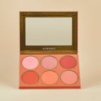 PALETA DE RUBORES ATEMPORAL | MAKEUP EXPERT