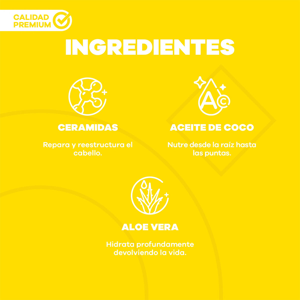 Shampoo para Rizos Tongolé